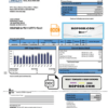USA MEA Alaska electricity utility bill template in Word and PDF format