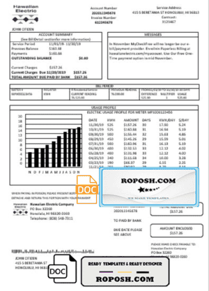 USA Hawaiian Electric utility bill template in Word and PDF format (.doc and .pdf)