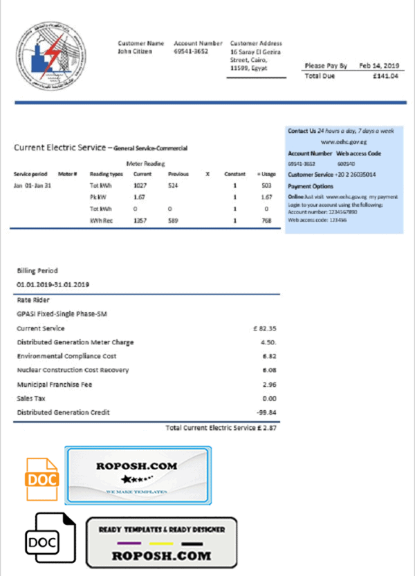 Egypt Egyptian Electricity utility bill template in Word and PDF format