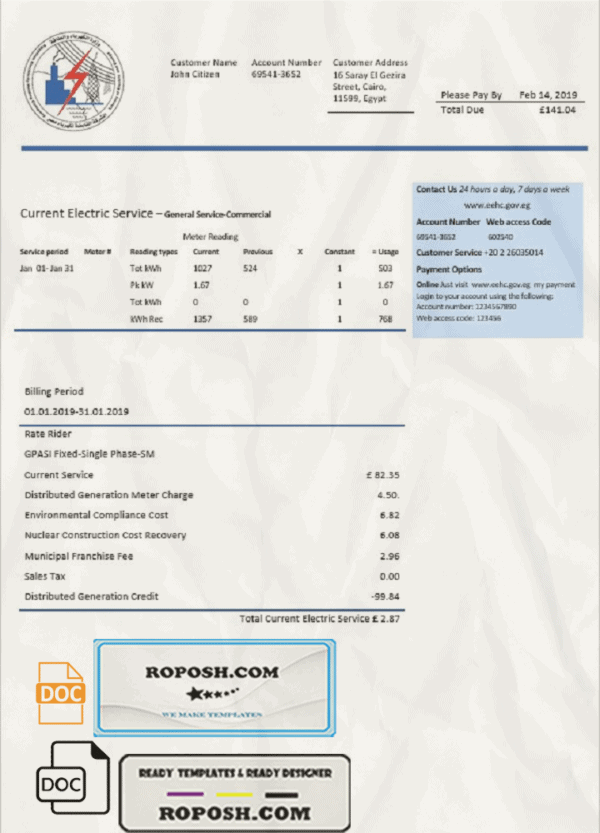 Egypt Egyptian Electricity utility bill template in Word and PDF format