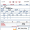 Turkey water utility bill template in Word and PDF format