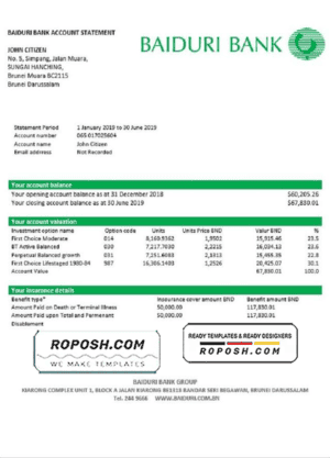 Brunei Baiduri bank statement easy to fill template in Excel and PDF format (AutoSum)