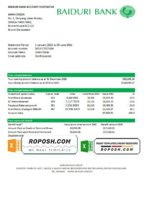 Brunei Baiduri bank statement easy to fill template in Excel and PDF format (AutoSum)