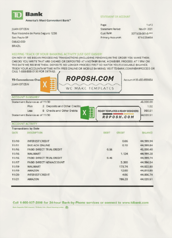 Brazil TD bank statement easy to fill template in Excel and PDF format