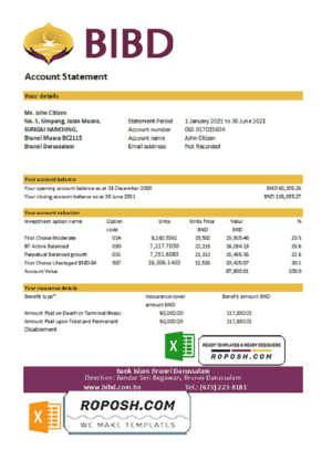 Brunei Bank Islam Brunei Darussalam bank statement easy to fill template in Excel and PDF format (AutoSum)