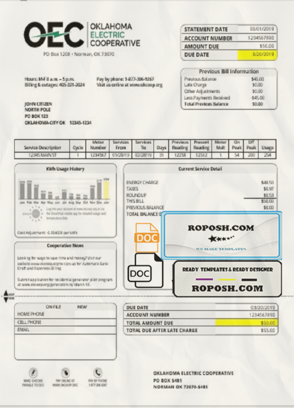 USA OEC electricity utility bill template in Word and PDF format scan effect