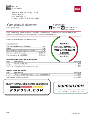 USA North Carolina BB&T Corp. bank account statement template in Word and PDF format