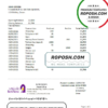 Oman Bank Nizwa bank statement easy to fill template in Excel and PDF format