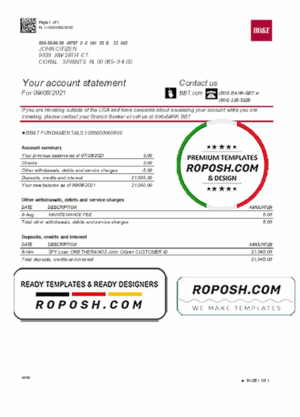 USA North Carolina BB&T Corp. bank account statement template in Excel and PDF format
