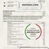 Romania Raiffeisen bank statement template in Excel and PDF format (in Romanian language)