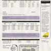 United Kingdom Warwick First Utility bill template in Word and PDF format