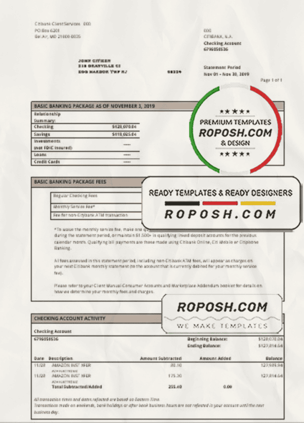 USA City Bank statement template in Word and PDF format