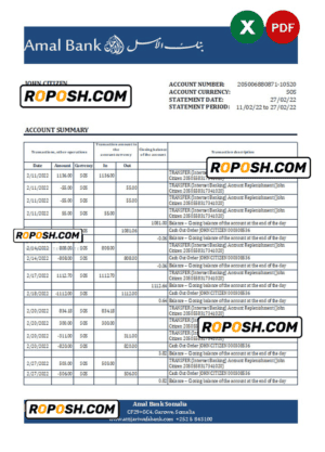 Somalia Amal bank statement, Excel and PDF template