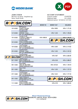 South Korea Woori bank statement, Excel and PDF template