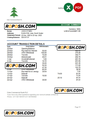 South Sudan Eden Commercial Bank statement, Excel and PDF template