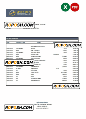 Tajikistan Spitamen Bank statement, Excel and PDF template