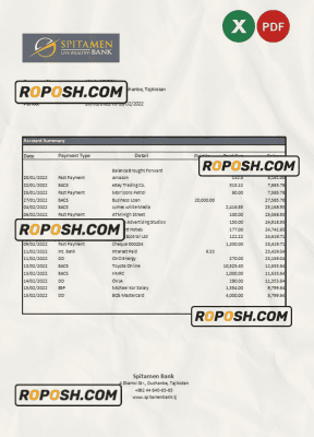 Tajikistan Spitamen Bank statement, Excel and PDF template | roposh