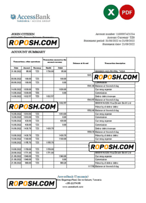 Tanzania Access bank statement, Excel and PDF template