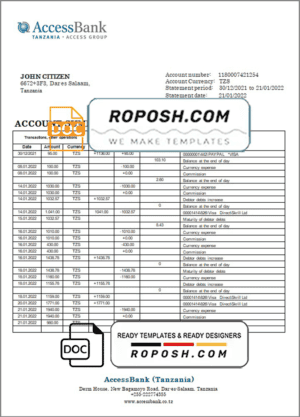Tanzania Access Bank statement template in Word and PDF format