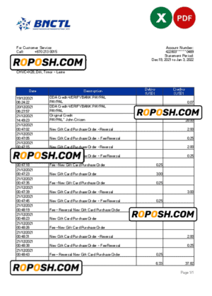 Timor-Leste BNCTL bank statement, Excel and PDF template