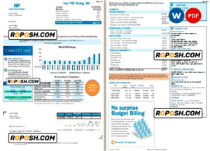 USA Arizona Tucson Electric Power (TEP) utility bill, Word and PDF template, 2 pages