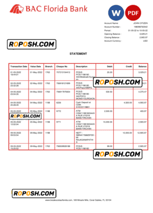 USA BAC Florida bank statement Word and PDF template