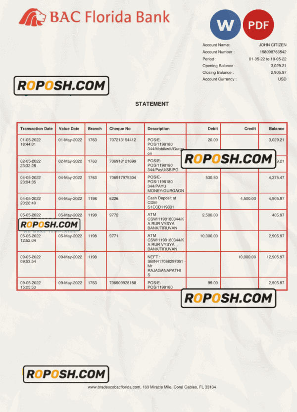 USA BAC Florida bank statement Word and PDF template