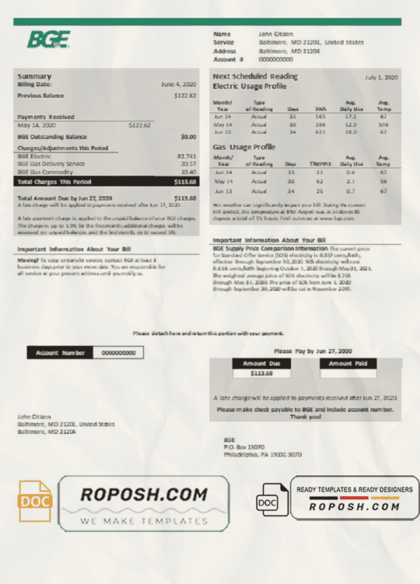 USA Maryland BGE gas and electric utility bill template in Word and PDF format