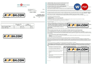 USA BMO Harris bank statement Word and PDF template, 3 pages