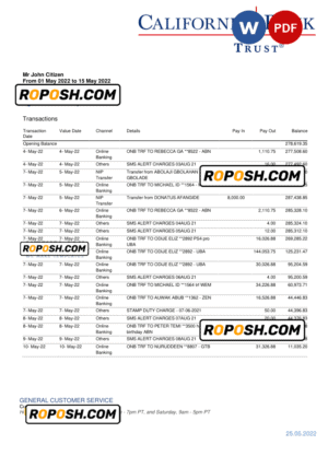 USA California Bank Trust bank statement, Word and PDF template