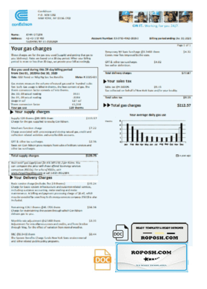 USA Con Edison gas utility bill template in Word and PDF format