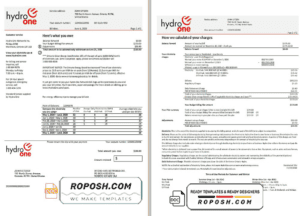 USA Ontario’s Hydro One electricity utility bill template in Word and PDF format (2 pages)