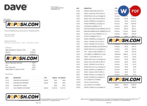 USA Dave bank account statement, Word and PDF template, 5 pages