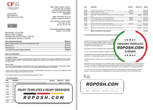 USA New York CFSB bank statement template in Excel and PDF format, 2 pages