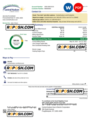 USA New York Central Hudson A fortis company utility bill, Word and PDF template, 3 pages
