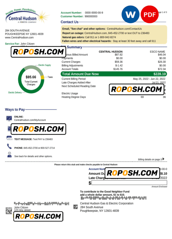 USA New York Central Hudson A fortis company utility bill, Word and PDF template, 3 pages