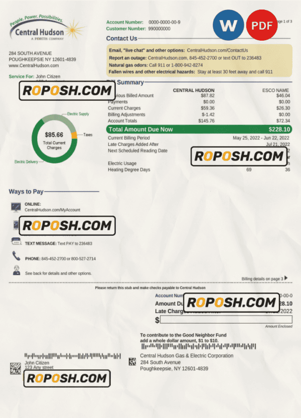 USA New York Central Hudson A fortis company utility bill, Word and PDF template, 3 pages