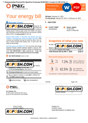 USA New York PSEG utility bill, Word and PDF template, 5 pages