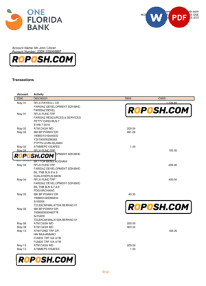 USA One Florida bank statement, Word and PDF template