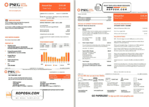 USA New Jersey PSEG electricity utility bill template in Word and PDF format, 2 pages