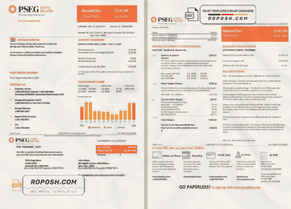 USA New Jersey PSEG electricity utility bill template in Word and PDF format, 2 pages