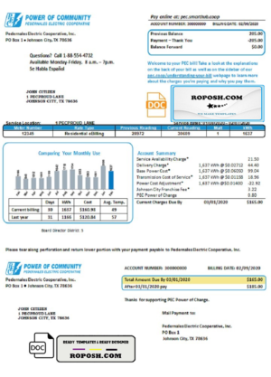 USA Texas Power of Community electricity utility bill in Word and PDF format, good for address prove