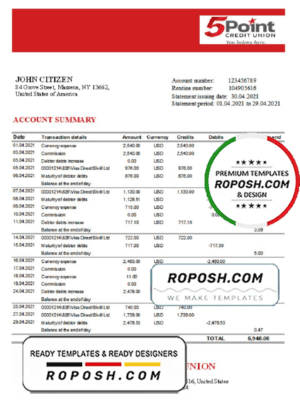 USA Texas 5Point bank statement template in Excel and PDF format
