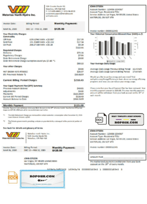 USA Nevada Waterloo North Hydro utility bill template in Word and PDF format
