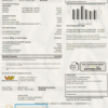USA Nevada Waterloo North Hydro utility bill template in Word and PDF format