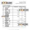 UAE Emirates Investment Bank statement, Excel and PDF template