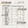 UAE Emirates Investment Bank statement, Excel and PDF template