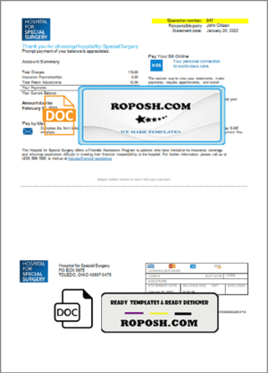 USA Ohio Hospital For Special Surgery utility bill template in Word and PDF format
