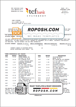 USA TCF Bank bank statement template in Word and PDF format