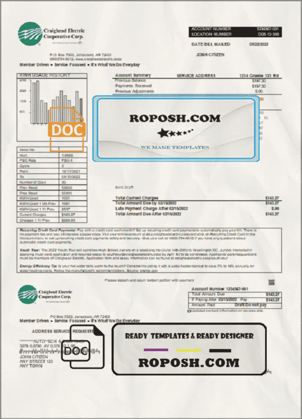 USA Craighead Electric utility bill template in Word and PDF format